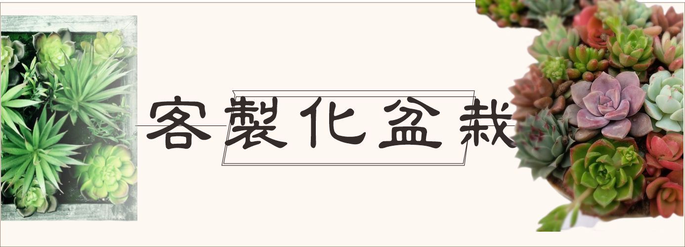 第一商品#